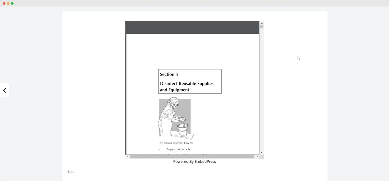 How To Embed Google Docs Or PDF Documents In WordPress for FREE [2023]
