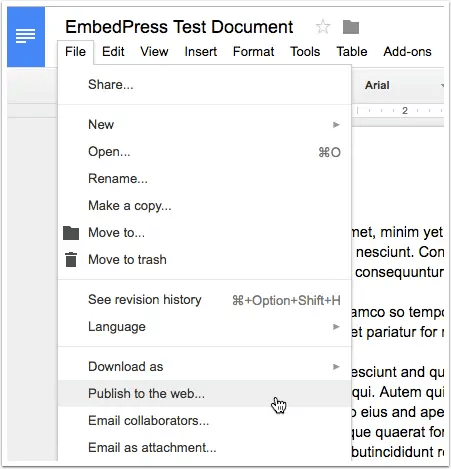 Embed Google Docs